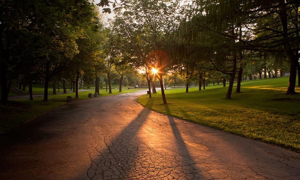 Gite Du Parc Lafontaineモントリオール エクステリア 写真